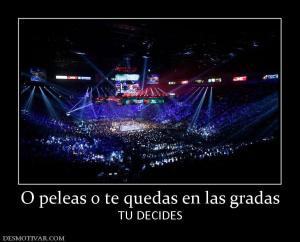 O peleas o te quedas en las gradas TU DECIDES