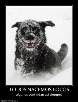 TODOS NACEMOS LOCOS algunos continúan así siempre