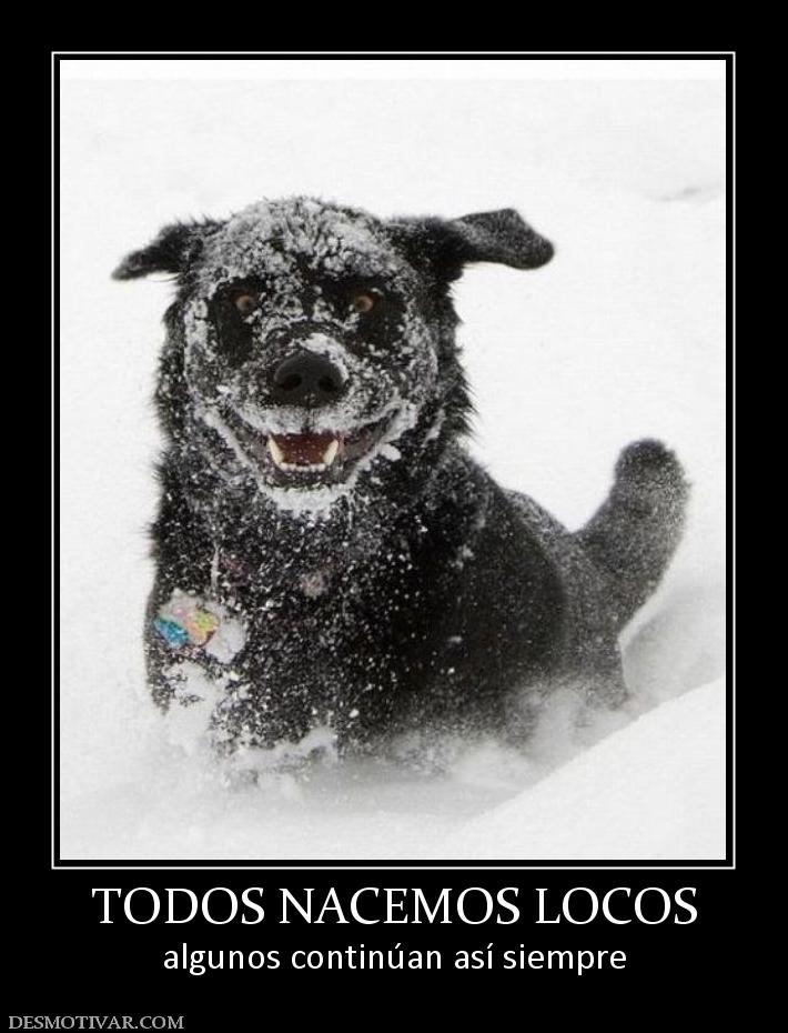 TODOS NACEMOS LOCOS algunos continúan así siempre