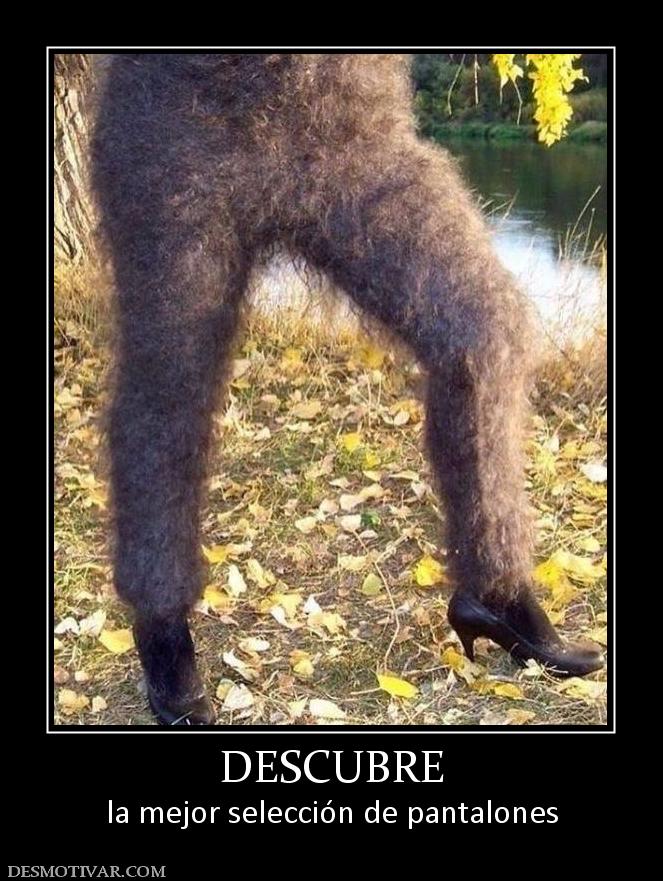 DESCUBRE la mejor selección de pantalones