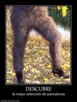 DESCUBRE la mejor selección de pantalones