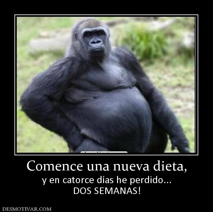 Comence una nueva dieta, y en catorce días he perdido... DOS SEMANAS!