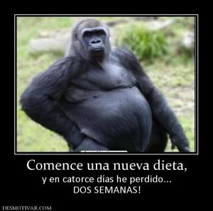 Comence una nueva dieta, y en catorce días he perdido... DOS SEMANAS!