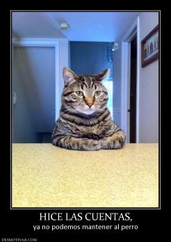 HICE LAS CUENTAS, ya no podemos mantener al perro