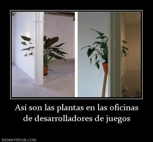 Así son las plantas en las oficinas de desarrolladores de juegos
