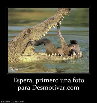 Espera, primero una foto para Desmotivar.com