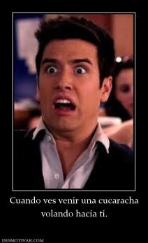 Cuando ves venir una cucaracha volando hacia ti.