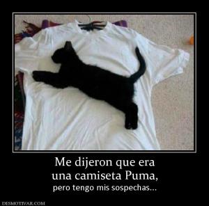 Me dijeron que era una camiseta Puma,  pero tengo mis sospechas...