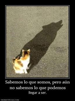 Sabemos lo que somos, pero aún no sabemos lo que podemos llegar a ser.