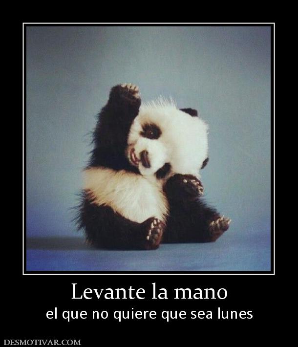 Levante la mano el que no quiere que sea lunes