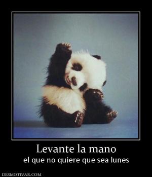 Levante la mano el que no quiere que sea lunes