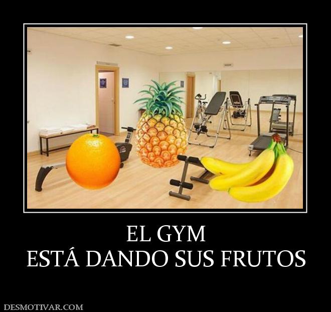 EL GYM ESTÁ DANDO SUS FRUTOS
