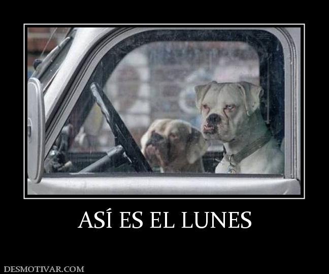 ASÍ ES EL LUNES