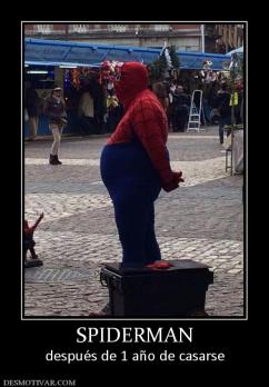 SPIDERMAN después de 1 año de casarse