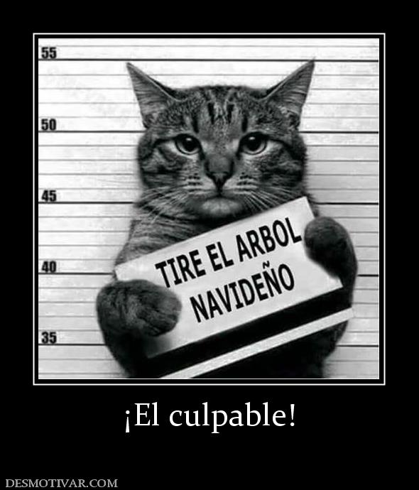 ¡El culpable!