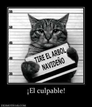 ¡El culpable!