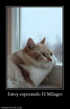 Estoy esperando El Milagro