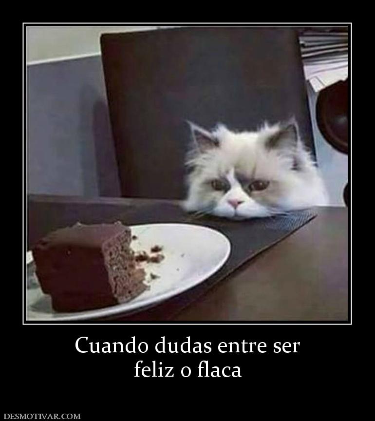 Cuando dudas entre ser feliz o flaca