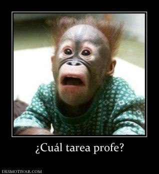 ¿Cuál tarea profe?