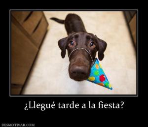 ¿Llegué tarde a la fiesta?