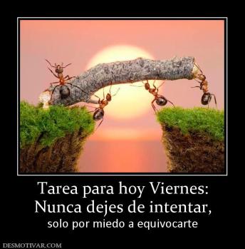 Tarea para hoy Viernes: Nunca dejes de intentar, solo por miedo a equivocarte