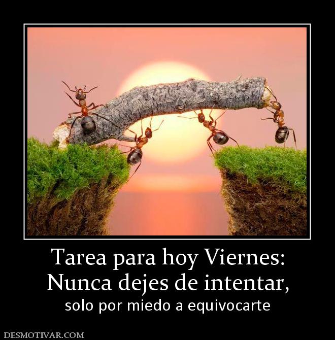 Tarea para hoy Viernes: Nunca dejes de intentar, solo por miedo a equivocarte