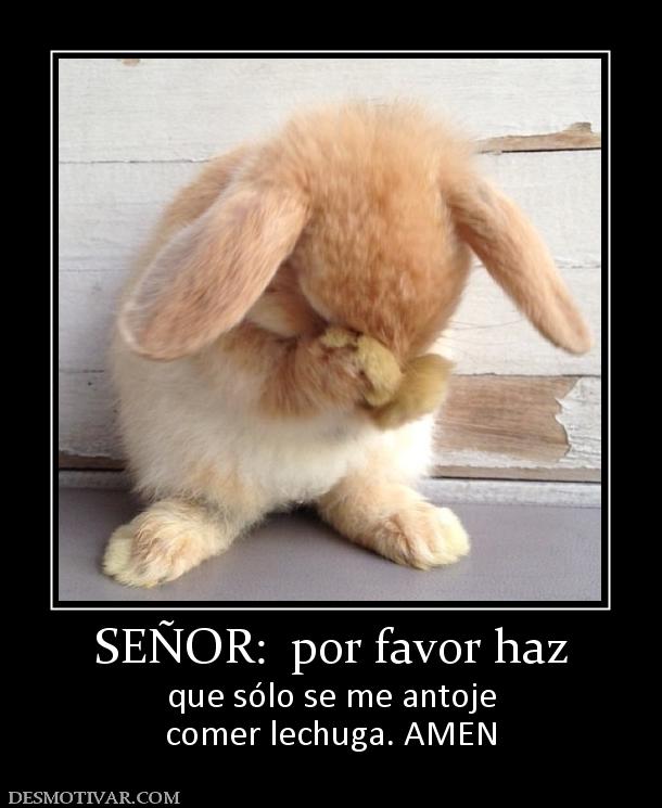 SEÑOR:  por favor haz que sólo se me antoje comer lechuga. AMEN