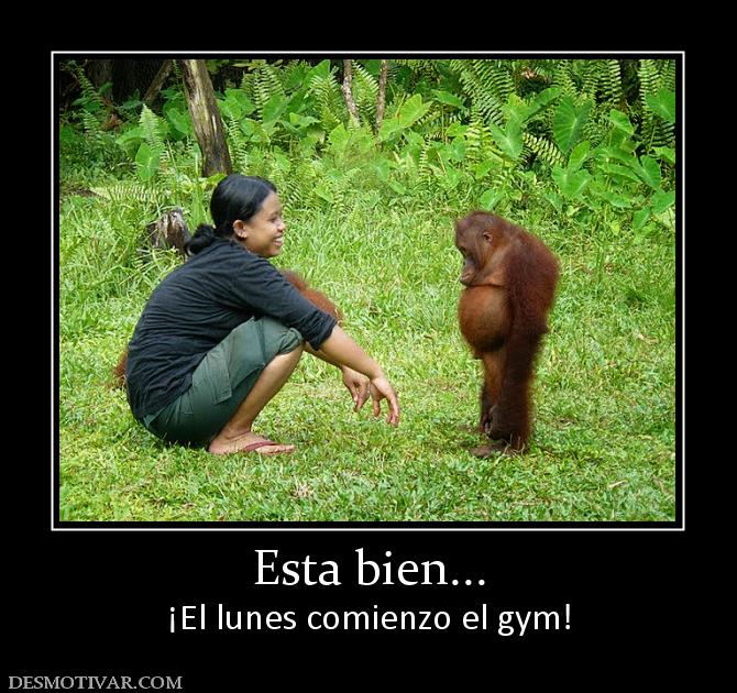 Esta bien... ¡El lunes comienzo el gym!