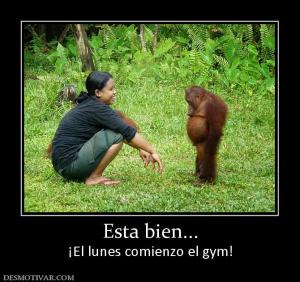 Esta bien... ¡El lunes comienzo el gym!