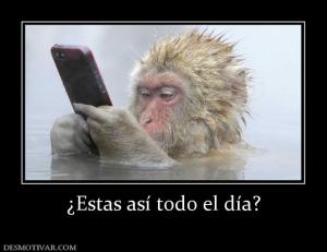 ¿Estas así todo el día?