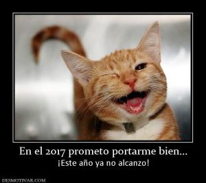En el 2017 prometo portarme bien... ¡Este año ya no alcanzo!