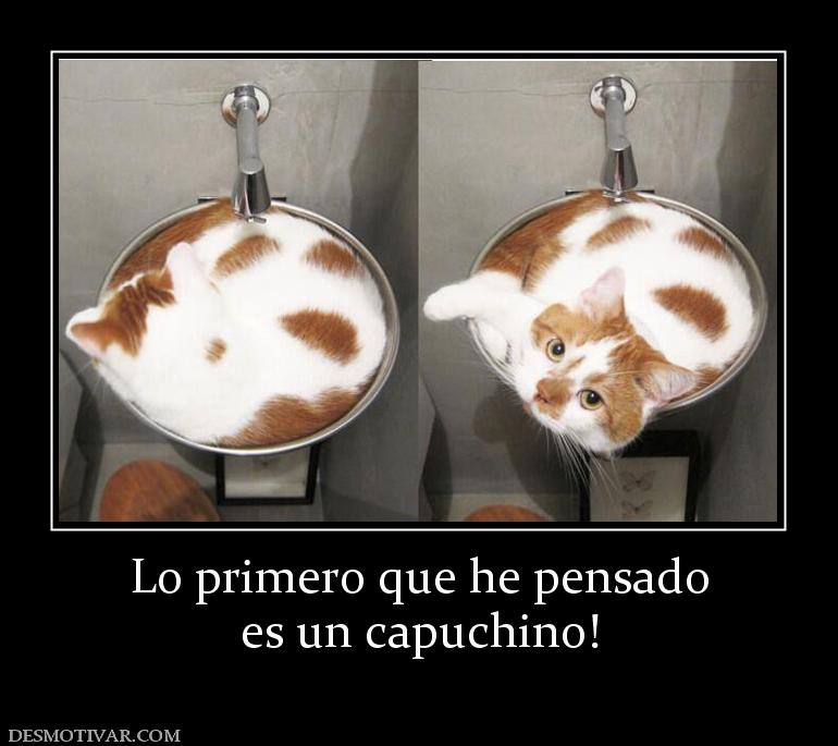Lo primero que he pensado es un capuchino!