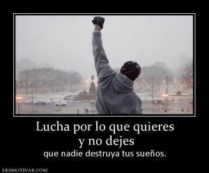 Lucha por lo que quieres  y no dejes  que nadie destruya tus sueños.