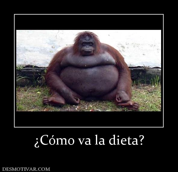 ¿Cómo va la dieta?