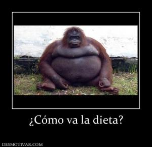 ¿Cómo va la dieta?