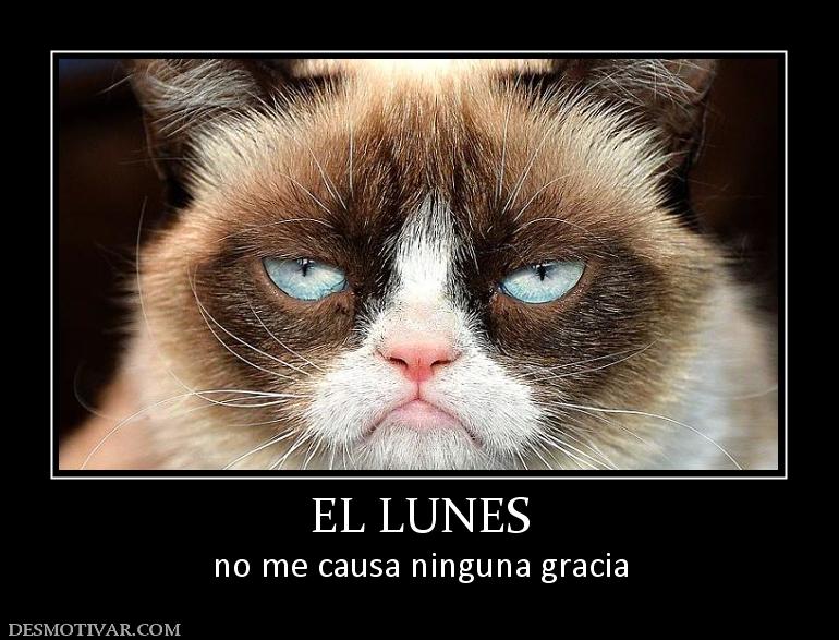 EL LUNES no me causa ninguna gracia