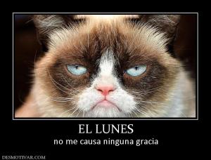 EL LUNES no me causa ninguna gracia