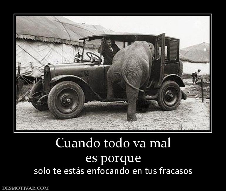 Cuando todo va mal es porque  solo te estás enfocando en tus fracasos