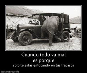 Cuando todo va mal es porque  solo te estás enfocando en tus fracasos