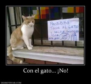 Con el gato... ¡No!