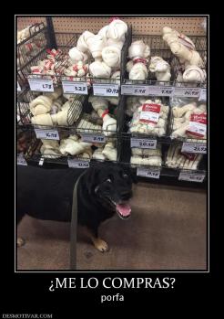 ¿ME LO COMPRAS? porfa