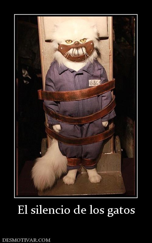 El silencio de los gatos