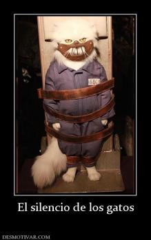 El silencio de los gatos