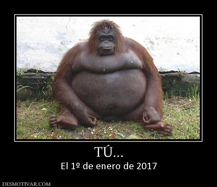 TÚ... El 1º de enero de 2017