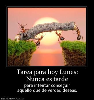 Tarea para hoy Lunes: Nunca es tarde para intentar conseguir aquello que de verdad deseas.