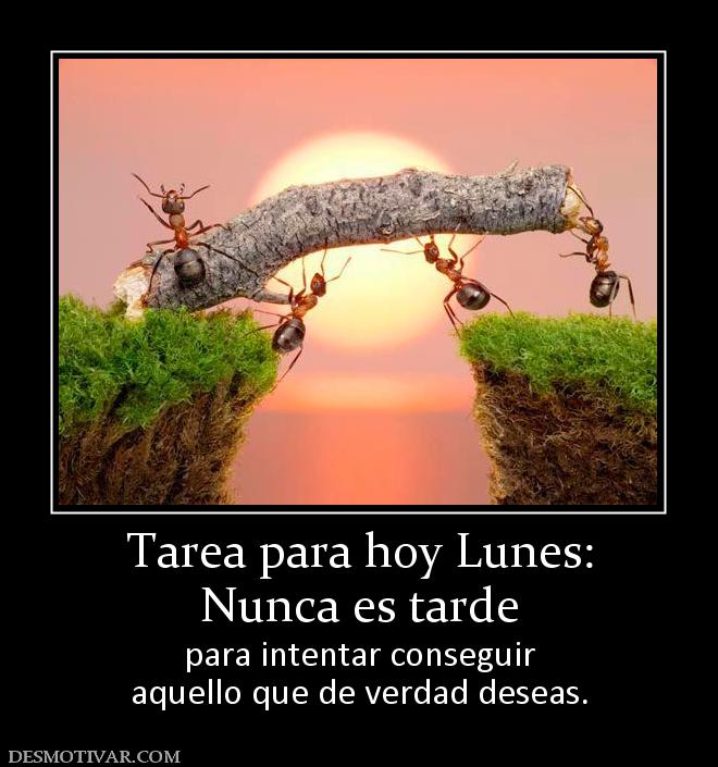 Tarea para hoy Lunes: Nunca es tarde para intentar conseguir aquello que de verdad deseas.