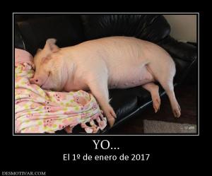 YO... El 1º de enero de 2017