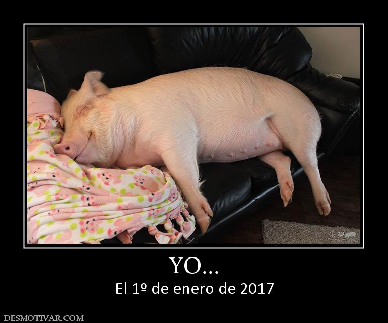 YO... El 1º de enero de 2017