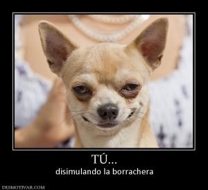 TÚ... disimulando la borrachera