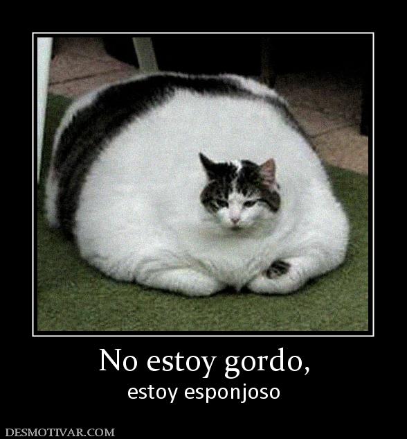 No estoy gordo, estoy esponjoso